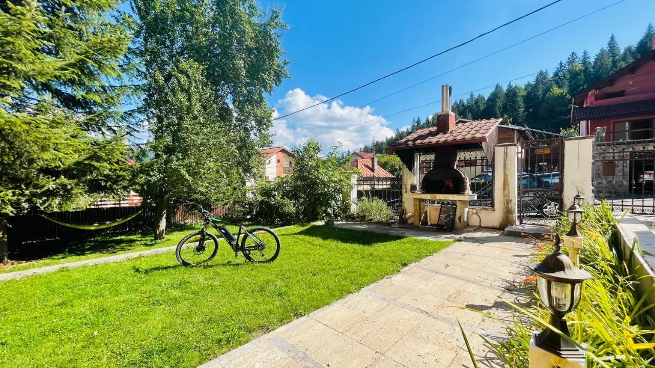 Pensiunea Luminita Szászbuda Kültér fotó