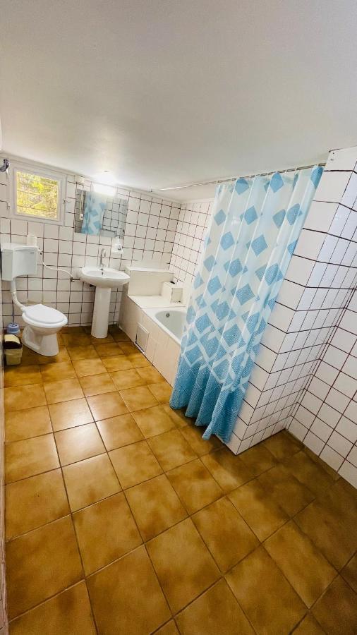 Pensiunea Luminita Szászbuda Kültér fotó